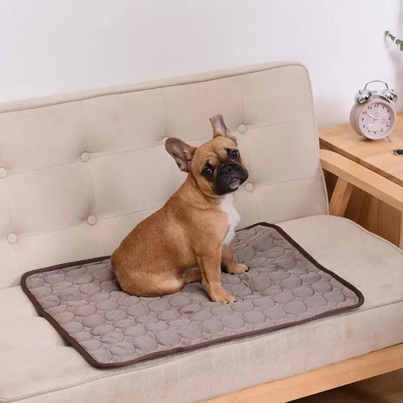 Tapis Rafraîchissant Premium pour Chien & Chat