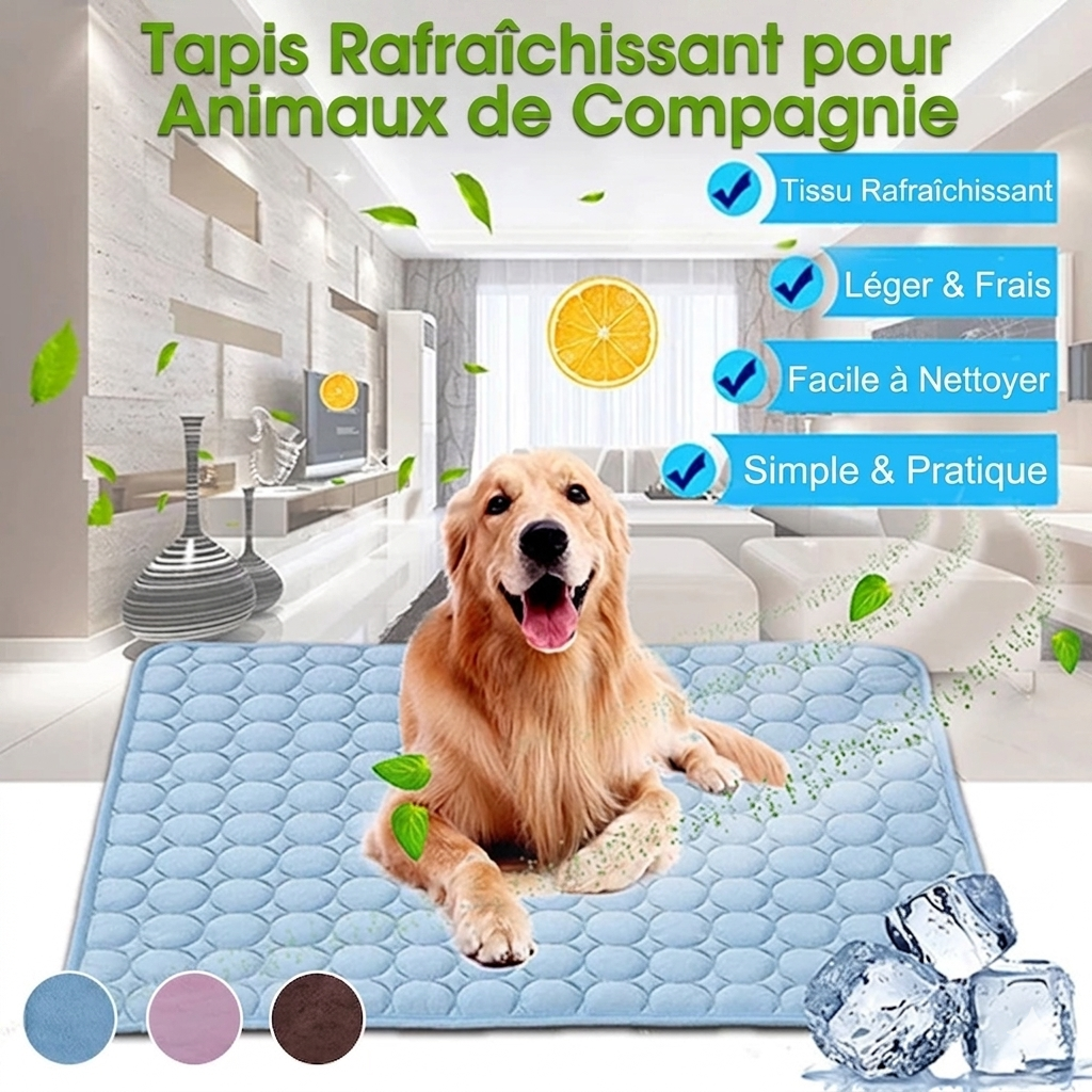 Tapis Rafraîchissant Premium pour Chien & Chat
